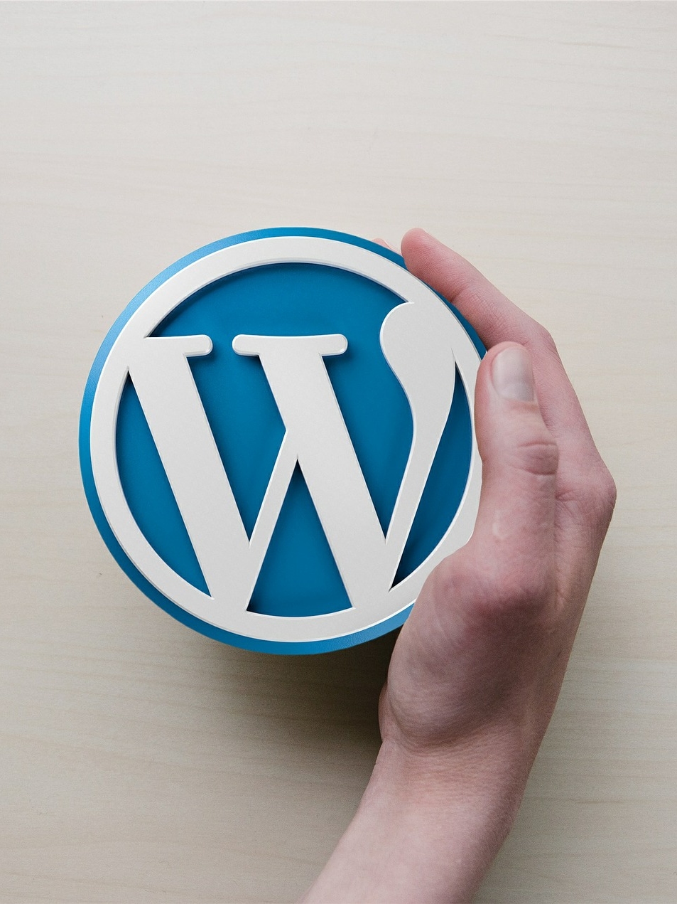 wordpress free vs paid